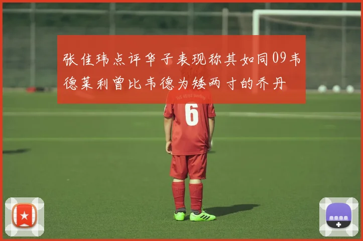 张佳玮点评华子表现称其如同09韦德莱利曾比韦德为矮两寸的乔丹