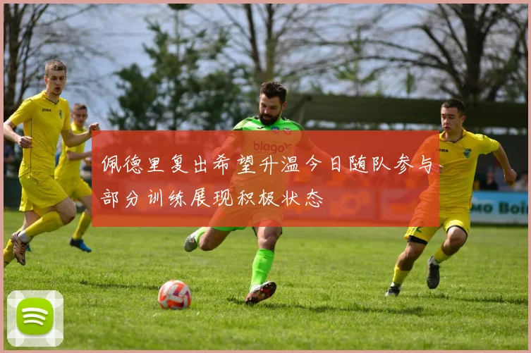 佩德里复出希望升温今日随队参与部分训练展现积极状态