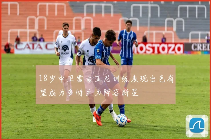 18岁中卫雷吉亚尼训练表现出色有望成为多特主力阵容新星