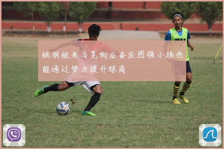 姚明被老马晃倒后奋发图强小杨也能通过努力提升球商